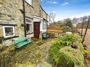 Rear Yard- click for photo gallery